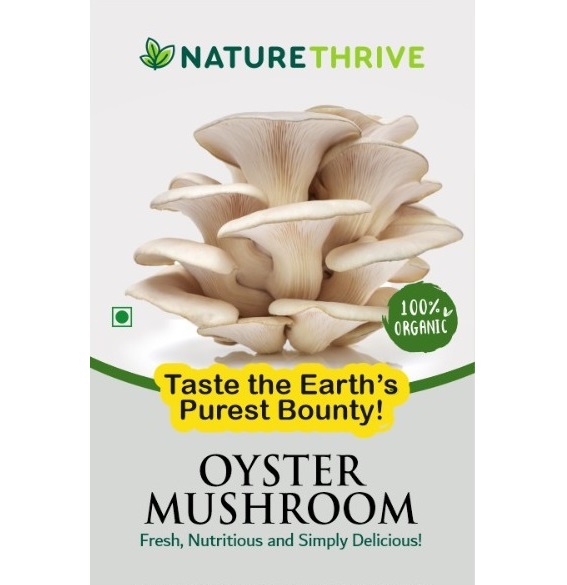 Organic Oyster Mushroom Cultivation at NatureThrive-image